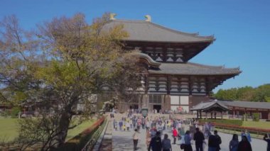 Nara, Japonya - NOV 07, 2019: Todaiji Tapınağı 'nda turistlerle birlikte 4K