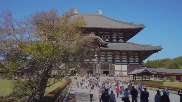 Nara, Japan - NOV 07, 2019: храм Тодайджі на вулиці з туристами в 4k — стокове відео
