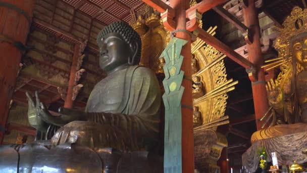 Нара, Японія - NOV 07, 2019: Храм Тодайджі з великою статуєю Будди всередині 4k. — стокове відео