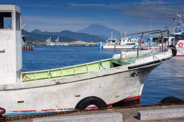 Fuji Dağı ve Shizuoka Bölgesi