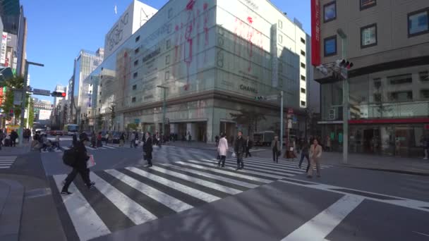 Tokio, Japan - 10. November 2019: Die belebten Straßen der Stadt. Einkaufsviertel Shibuya — Stockvideo