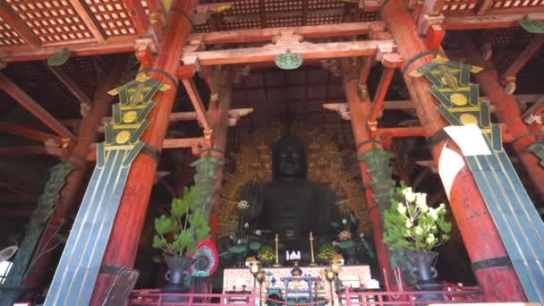 Нара, Япония - НОВ 07, 2019: Тодаидзи с большой статуей Будды в 4K — стоковое видео