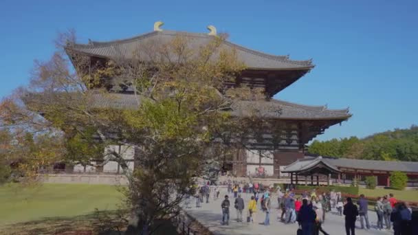 Nara, Japão - NOV 07, 2019: Templo de Todaiji ao ar livre com turistas pessoas em 4k — Vídeo de Stock