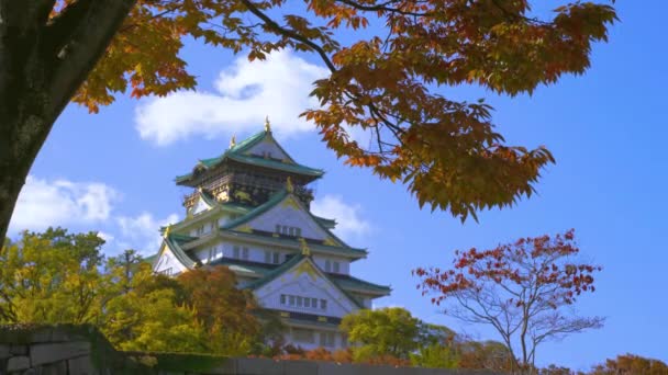 Osaka, Japan - NOV 10, 2019: Osaka Slottspark på hösten i 4k — Stockvideo