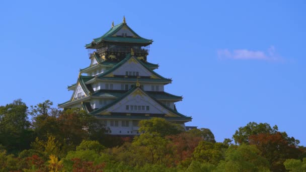 Osaka, Japonya - NOV 10, 2019: Sonbaharda Osaka Kalesi Parkı 4k — Stok video