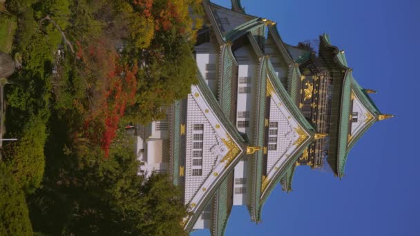 Ósaka, Japonsko - NOV 10, 2019: Zámecký park Ósaka na podzim, vertikální 4k — Stock video
