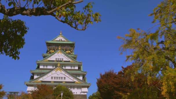 Osaka, Japan - NOV 10, 2019: Kasteelpark Osaka in de herfst in 4k — Stockvideo