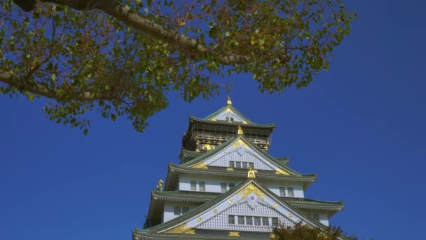 Osaka, Japan - 10. November 2019: Schlosspark von Osaka im Herbst in 4k — Stockvideo