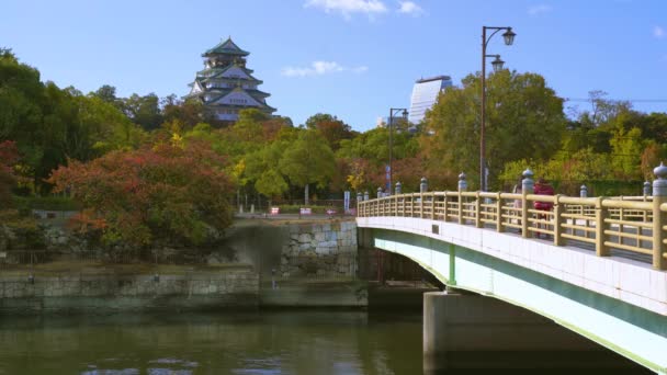 日本大阪- 2019年11月10日：大阪城堡公园，桥架在池塘上4k — 图库视频影像