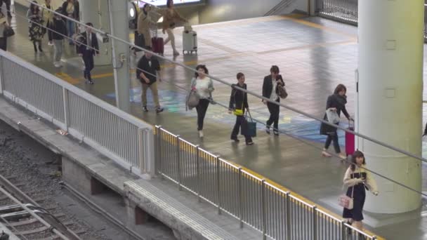 Osaka, Japão - 11 NOV 2019: Pessoas na estação central de Osaka em câmera lenta — Vídeo de Stock