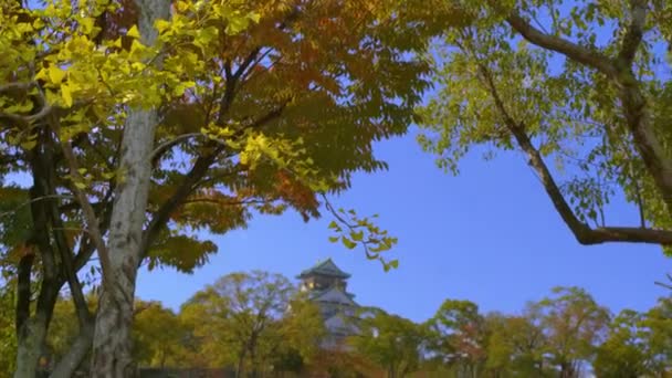 Parque Del Castillo Osaka Osaka Japón Otoño — Vídeo de stock