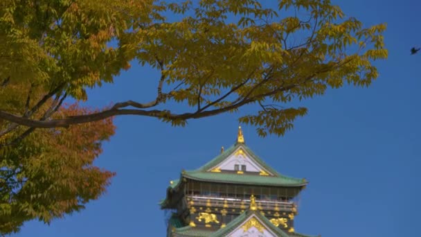 大阪城堡公园 日本大阪 秋天在4K — 图库视频影像