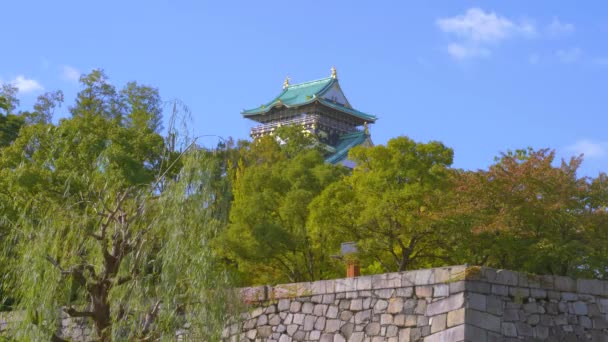 Osaka Castle Park Osaka Japan Autumn — стоковое видео