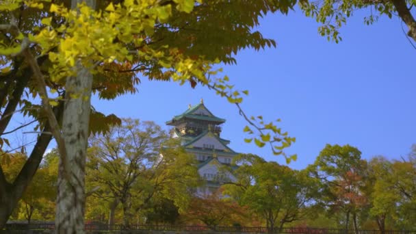 大阪城堡公园 日本大阪 秋天在4K — 图库视频影像