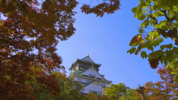 Parque Castelo Osaka Osaka Japão Outono — Vídeo de Stock