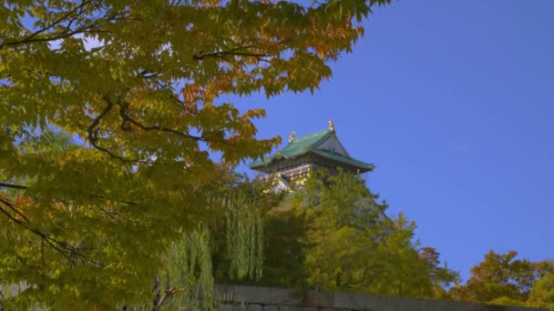 가을에 오사카에 오사카 — 비디오