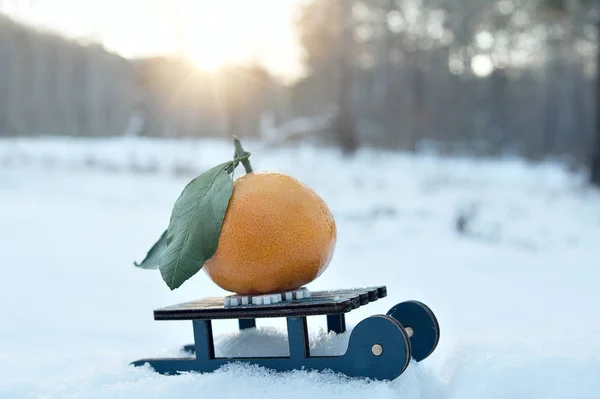 Игрушечные Сани Мандарином Подарок Зимой Этом Снегу Солнечный Морозный День — стоковое фото