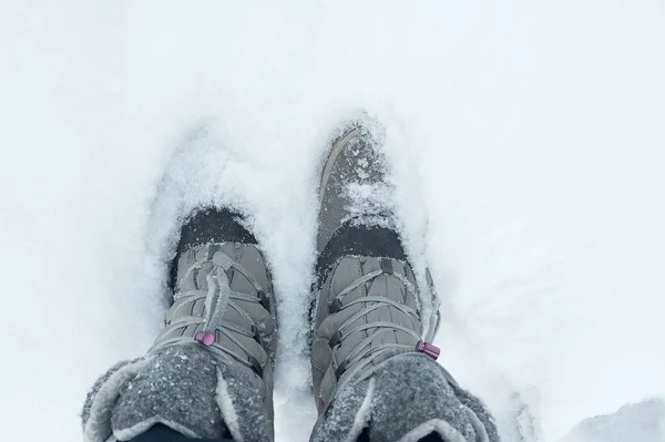 Зимние Женские Сапоги Снегу Зимой Вид Сверху Ноги Снегу — стоковое фото