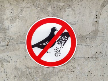 İşaret kuşları şehrin duvarına bağlı olarak beslenmez. Şehir kuş popülasyonu konsepti serçeler, kuş taşıyıcıları...