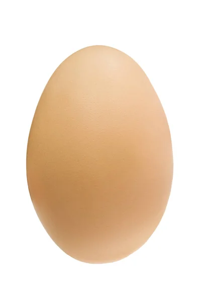 Куриное Яйцо Крупным Планом Белом Фоне — стоковое фото