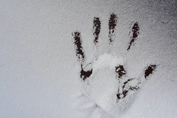 Человеческие Отпечатки Рук Снегу Концепция Поиска Пропавших Людей — стоковое фото
