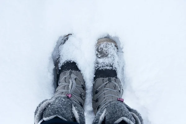 Women Winter Boots Snow Winter Top View Feet Snow — Stock Photo, Image