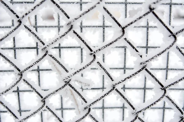 Snow Covered Ice Covered Mesh Fence — Stock Photo, Image