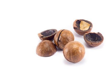 Macadamia fındıkları, yakın plan, makro, beyaz arka planda izole edilmiş.