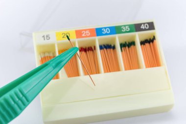 Kök kanal dolguları için farklı boyutlarda gutta-percha pimleri, cımbızla yakın çekim, endodontik dolgular için malzeme.