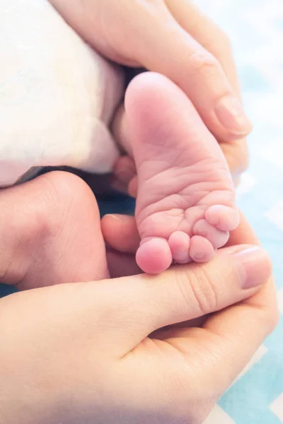 Picioare Nou Născuți Mâinile Mamei Conceptul Maternitate Dragoste Îngrijire Copilului — Fotografie, imagine de stoc