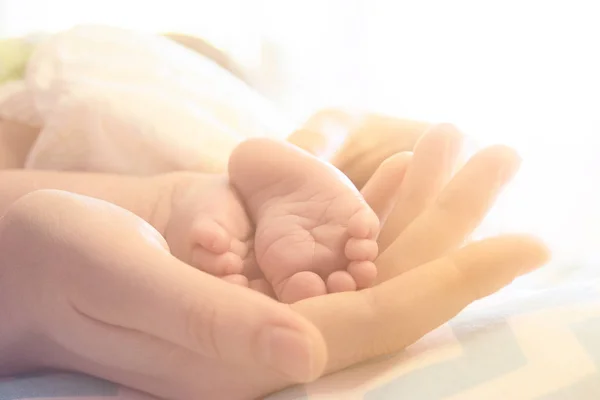 Picioare Nou Născuți Mâinile Mamei Conceptul Maternitate Dragoste Îngrijire Copilului — Fotografie, imagine de stoc