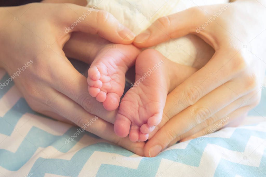  newborn baby legs in mother's hands folded by heart, the concept of motherhood, child care
