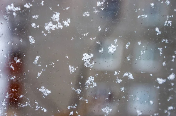 Заморожені Сніжинки Склянці Будинку Перший Сніг Холодний Сніг Зима Наближається — стокове фото