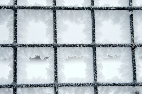 Заснеженный Ледяной Забор — стоковое фото