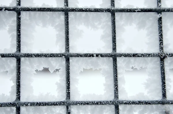 Snow Covered Ice Covered Mesh Fence — Stock Photo, Image