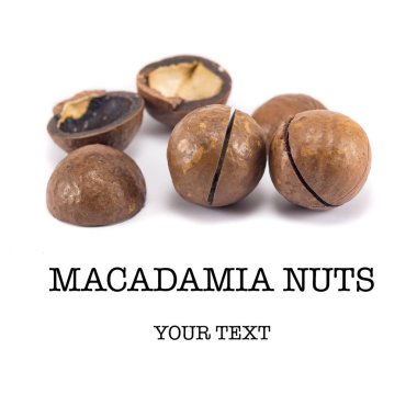 Macadamia fındıkları, yakın plan, makro, beyaz arka planda izole edilmiş.