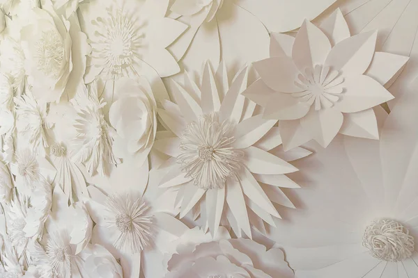 Białe Kwiaty Papieru Ścianie Tło Stonowane — Zdjęcie stockowe