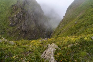 Bulutlardaki yeşil dağların tepeleri, dağlardaki manzaralı manzaralar