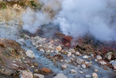 Gayzerler vadisi, yükselen gayzerler vadisi, sıcak su buharı.