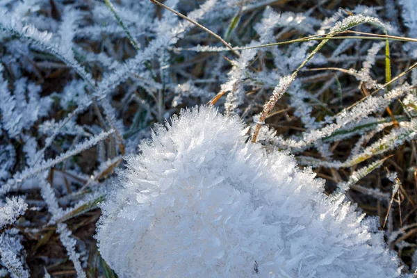 Gefrorene Wasserkristalle Der Natur Während Des Kälteeinbruchs Des Wintereinbruchs Wettervorhersage — Stockfoto