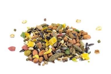 Beyaz arka plan üzerinde izole kemirgen için besleyici, dengeli toz gıda çeşitli