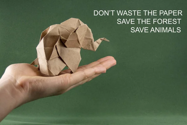 Origami Bebé Elefante Papel Kraft Sobre Fondo Verde Mano Concepto — Foto de Stock