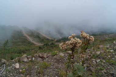 mountain trail road in the fog