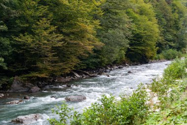 Dağ hızlı kaynayan nehir, nehir akışı