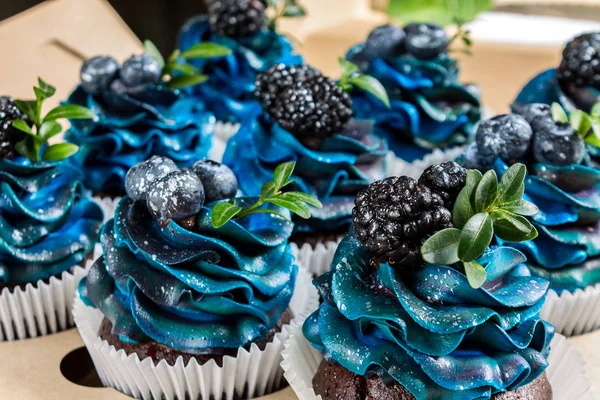 Conjunto Hermosos Cupcakes Deliciosos Con Crema Azul Arándanos Moras Pasteles — Foto de Stock