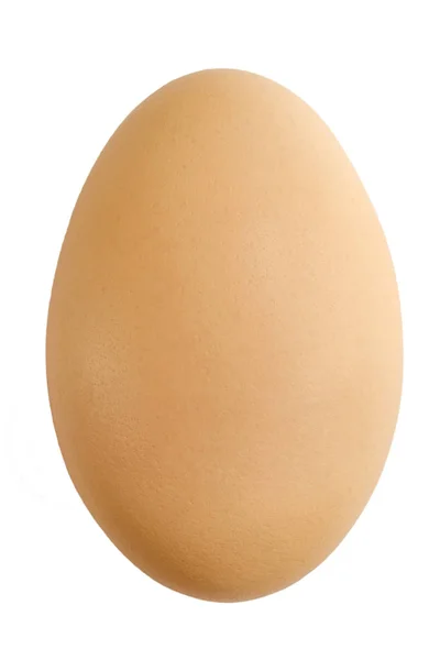Куриное Яйцо Крупным Планом Белом Фоне — стоковое фото