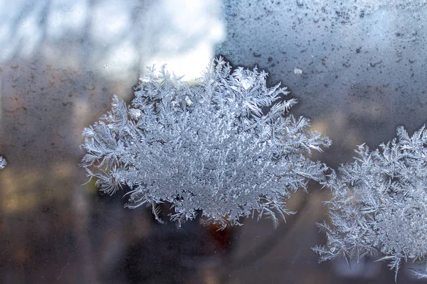 Inscription Frozen Winter Glass Winter Window — Stock Photo, Image
