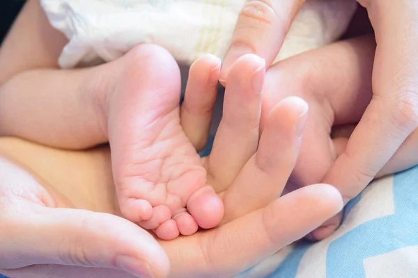 Picioarele Nou Născuților Mâinile Părinților Pliate Inimă Conceptul Maternitate Paternitate — Fotografie, imagine de stoc