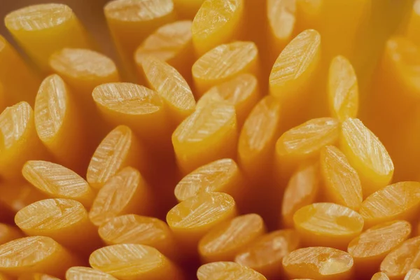 マカロニ準備ができていないロープタイスパゲティデュラム小麦手作り分離マクロクローズアップ — ストック写真