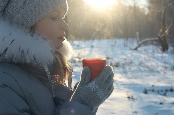 Young Girl Mug Hot Drink Sunny Frosty Day Picnic Forest — Stock Photo, Image